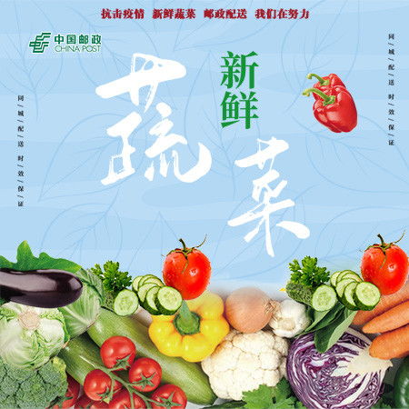 精品蔬菜箱套餐A 10斤装，新鲜直达您的餐桌
