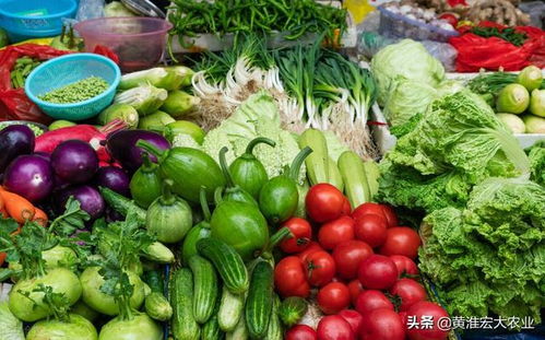 加快建设全国统一大市场，蔬菜存储需注意什么？——解读释放的关键信号