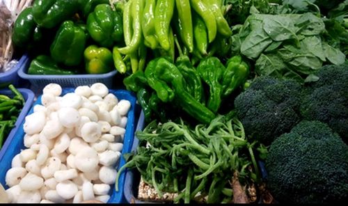 变废为宝 食品科技助力蔬菜副产物综合利用率提升与减损增效